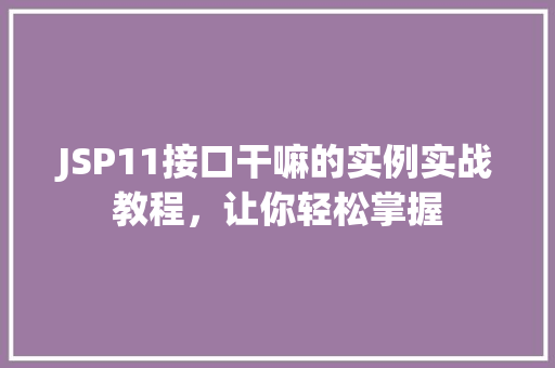 JSP11接口干嘛的实例实战教程，让你轻松掌握