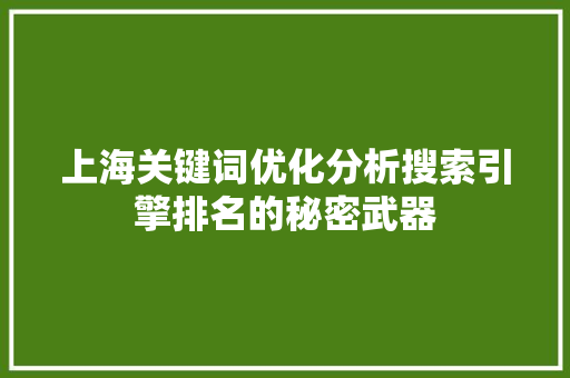 上海关键词优化分析搜索引擎排名的秘密武器