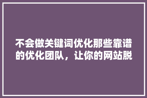不会做关键词优化那些靠谱的优化团队，让你的网站脱颖而出