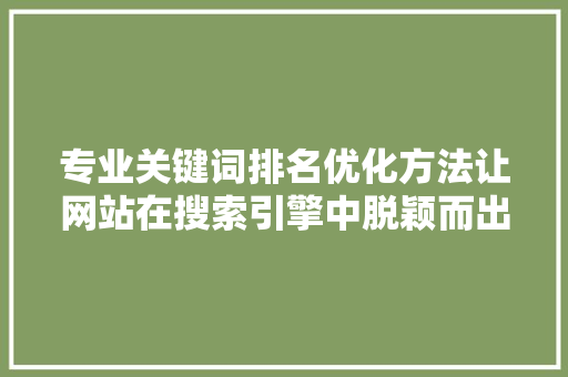 专业关键词排名优化方法让网站在搜索引擎中脱颖而出