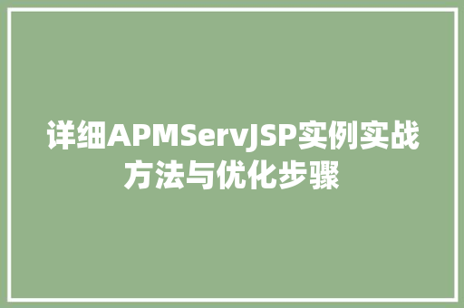 详细APMServJSP实例实战方法与优化步骤