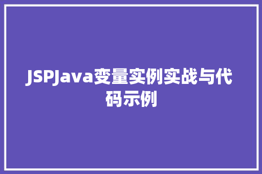 JSPJava变量实例实战与代码示例