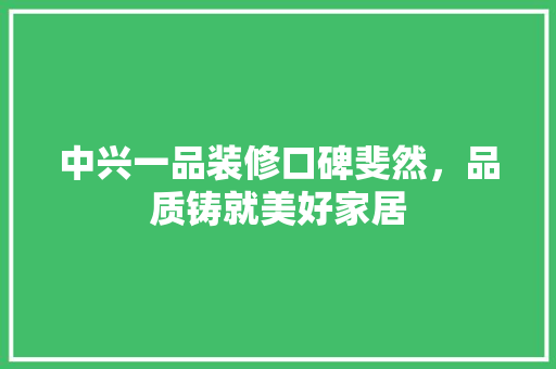 中兴一品装修口碑斐然，品质铸就美好家居