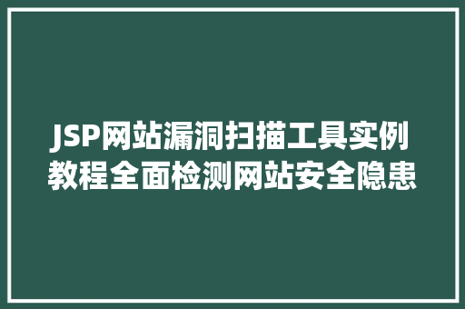JSP网站漏洞扫描工具实例教程全面检测网站安全隐患