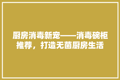 厨房消毒新宠——消毒碗柜推荐，打造无菌厨房生活