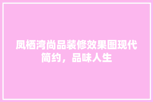 凤栖湾尚品装修效果图现代简约，品味人生
