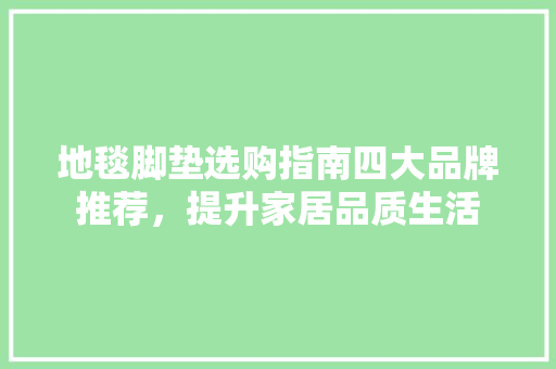 地毯脚垫选购指南四大品牌推荐，提升家居品质生活