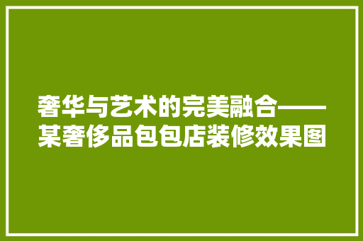奢华与艺术的完美融合——某奢侈品包包店装修效果图  第1张