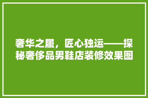 奢华之履，匠心独运——探秘奢侈品男鞋店装修效果图背后的设计哲学  第1张