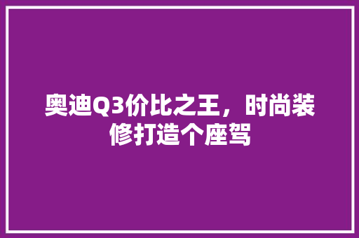 奥迪Q3价比之王，时尚装修打造个座驾  第1张