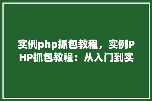 实例php抓包教程，实例PHP抓包教程：从入门到实战  第1张