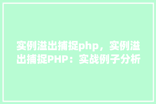 实例溢出捕捉php，实例溢出捕捉PHP：实战例子分析及解决方法