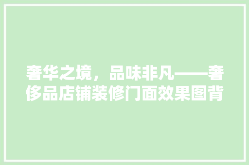 奢华之境，品味非凡——奢侈品店铺装修门面效果图背后的设计理念