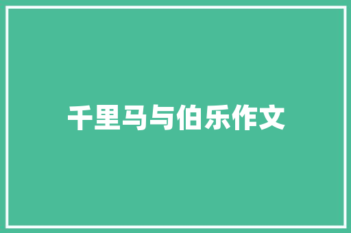 瓷砖选购攻略实惠又美观的选择指南