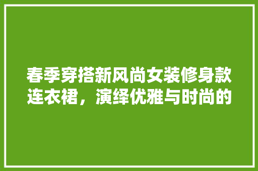 春季穿搭新风尚女装修身款连衣裙，演绎优雅与时尚的完美融合