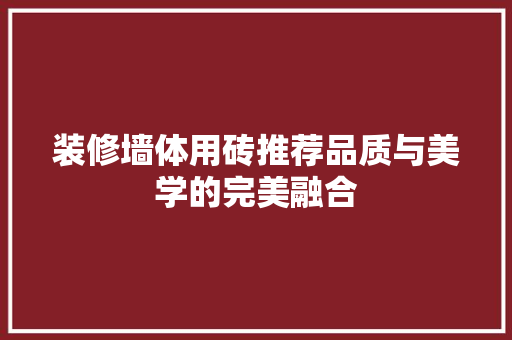 装修墙体用砖推荐品质与美学的完美融合