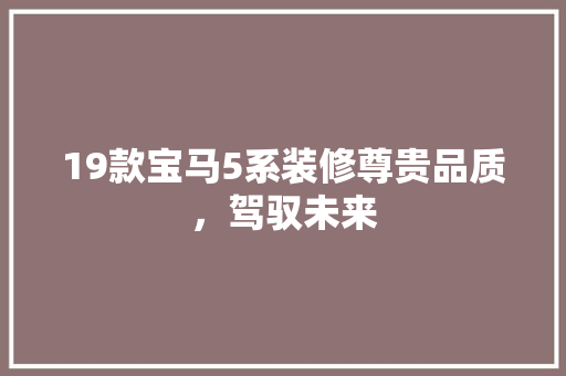 19款宝马5系装修尊贵品质，驾驭未来  第1张
