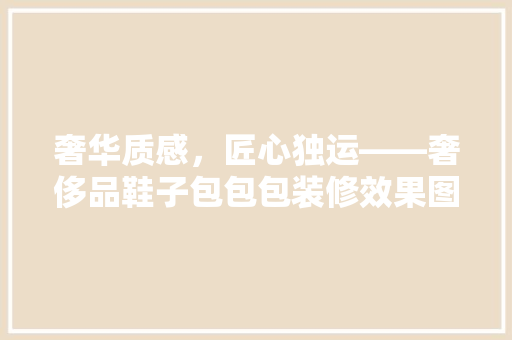 奢华质感，匠心独运——奢侈品鞋子包包包装修效果图赏析