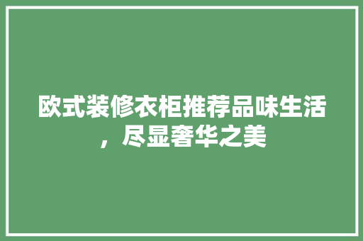 欧式装修衣柜推荐品味生活，尽显奢华之美