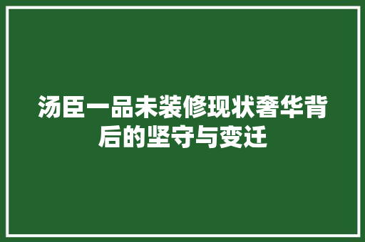 汤臣一品未装修现状奢华背后的坚守与变迁  第1张