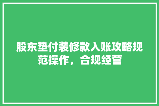 股东垫付装修款入账攻略规范操作，合规经营