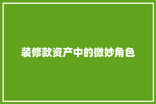 装修款资产中的微妙角色  第1张