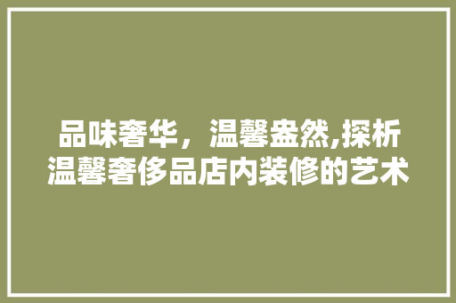 品味奢华，温馨盎然,探析温馨奢侈品店内装修的艺术魅力