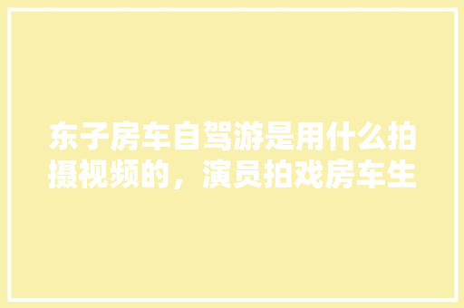 大码时尚新风尚套装修身显瘦，打造轻盈身姿
