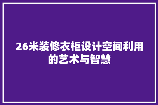 26米装修衣柜设计空间利用的艺术与智慧