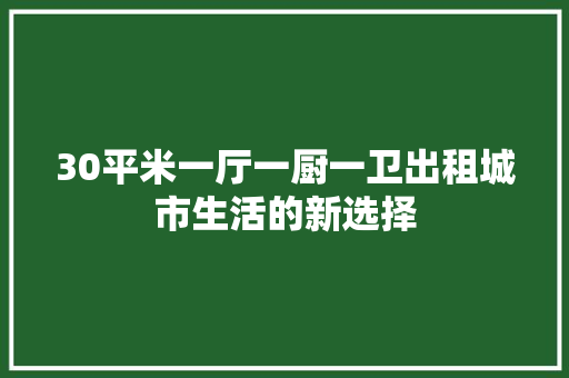 30平米一厅一厨一卫出租城市生活的新选择