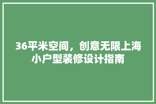36平米空间，创意无限上海小户型装修设计指南