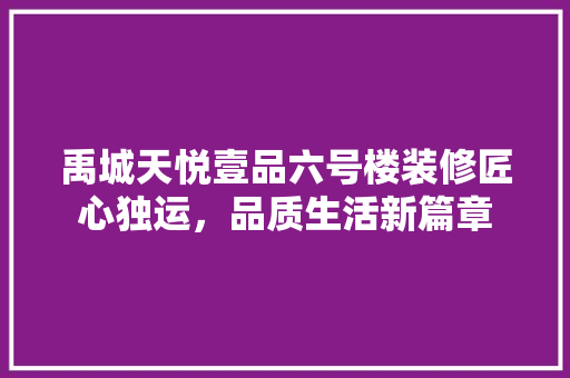禹城天悦壹品六号楼装修匠心独运，品质生活新篇章