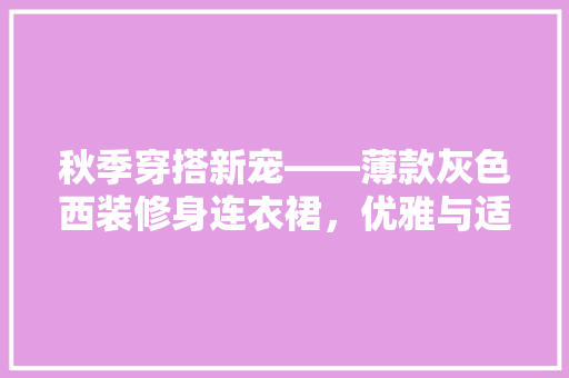 秋季穿搭新宠——薄款灰色西装修身连衣裙，优雅与适用并存