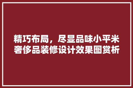 精巧布局，尽显品味小平米奢侈品装修设计效果图赏析