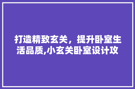 打造精致玄关，提升卧室生活品质,小玄关卧室设计攻略