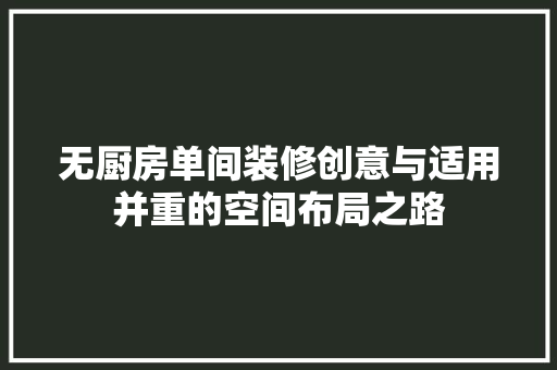无厨房单间装修创意与适用并重的空间布局之路