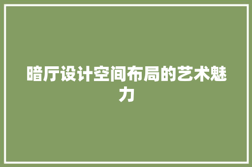 暗厅设计空间布局的艺术魅力