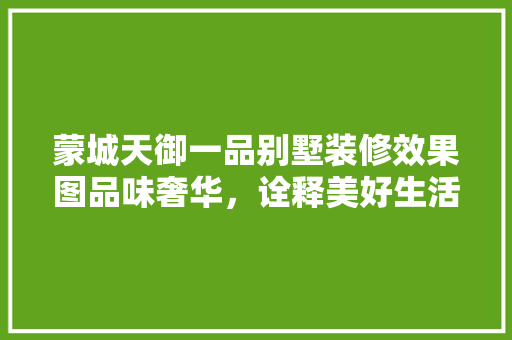 蒙城天御一品别墅装修效果图品味奢华，诠释美好生活  第1张