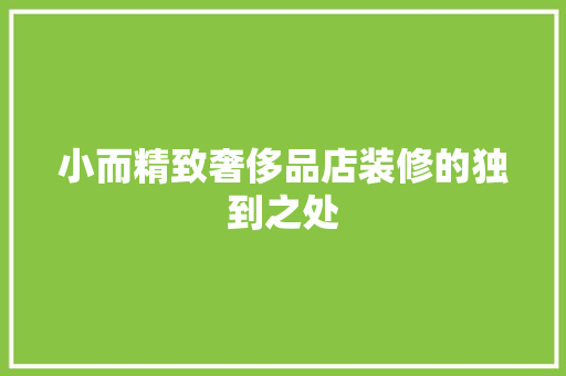 小而精致奢侈品店装修的独到之处