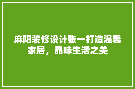 麻阳装修设计张一打造温馨家居，品味生活之美