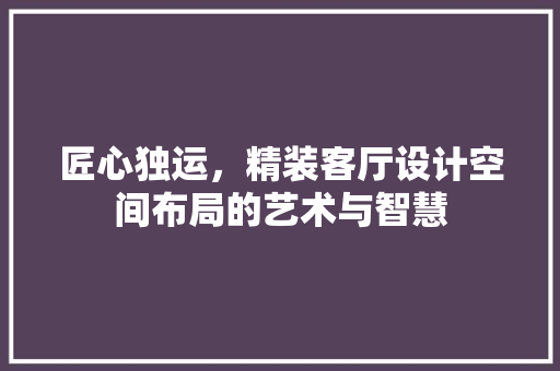 匠心独运，精装客厅设计空间布局的艺术与智慧