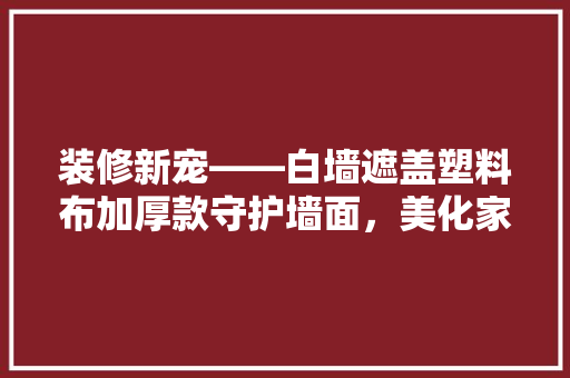 装修新宠——白墙遮盖塑料布加厚款守护墙面，美化家居
