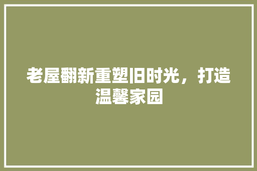 老屋翻新重塑旧时光，打造温馨家园
