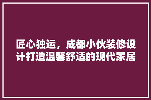 匠心独运，成都小伙装修设计打造温馨舒适的现代家居空间  第1张