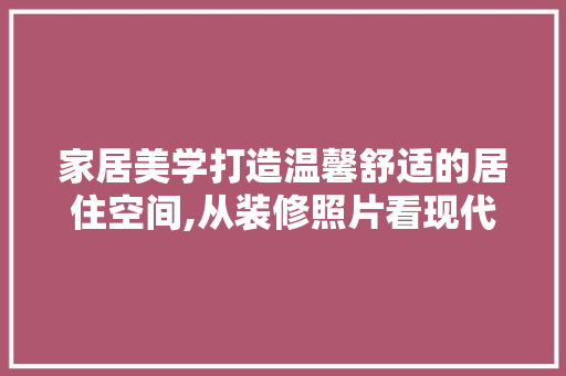 家居美学打造温馨舒适的居住空间,从装修照片看现代居家设计之路