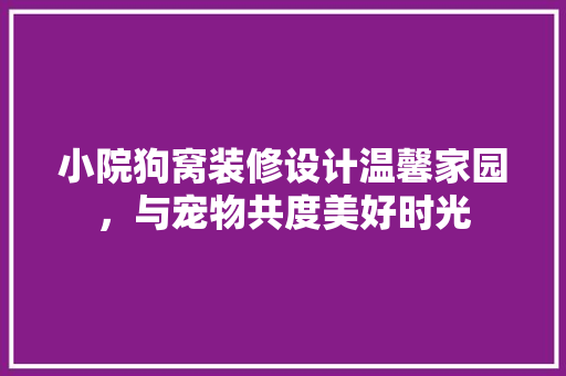 小院狗窝装修设计温馨家园，与宠物共度美好时光