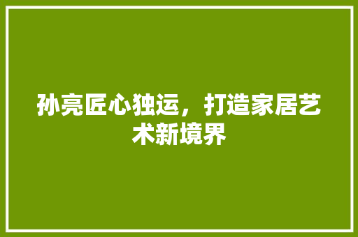 孙亮匠心独运，打造家居艺术新境界