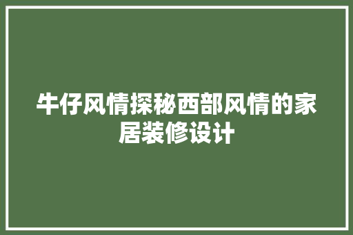 牛仔风情探秘西部风情的家居装修设计