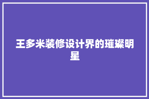 王多米装修设计界的璀璨明星