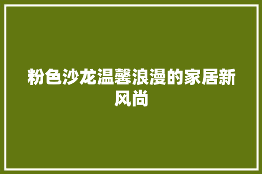 粉色沙龙温馨浪漫的家居新风尚